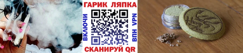 ГАШ Premium  Сланцы 
