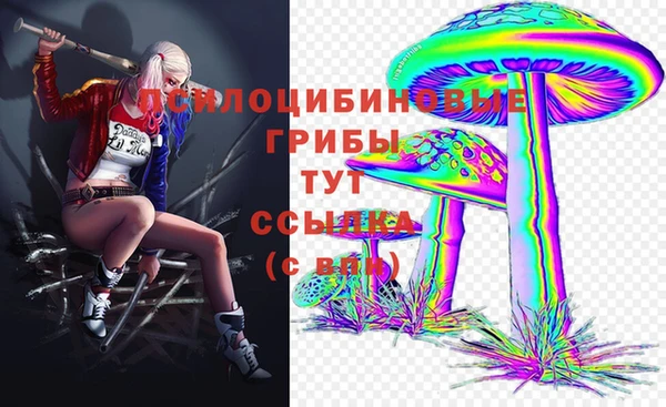 меф Армянск