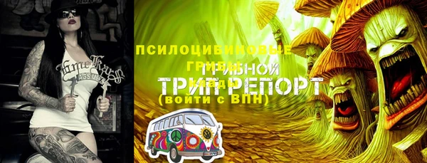 ALPHA PVP Аркадак