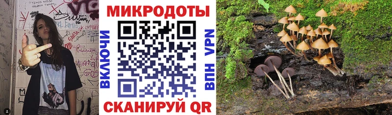 Галлюциногенные грибы ЛСД  Сланцы 